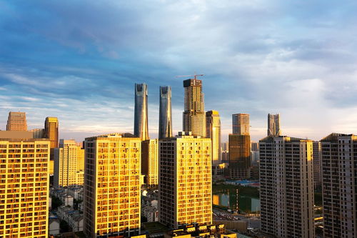 房地產(chǎn)投資環(huán)境全景掃描 機(jī)遇、挑戰(zhàn)與未來(lái)趨勢(shì)