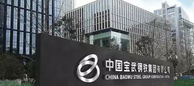 鋼鐵巨擘 中國(guó)鋼企占據(jù)全球前十半壁江山，房地產(chǎn)繁榮背后的支撐與挑戰(zhàn)